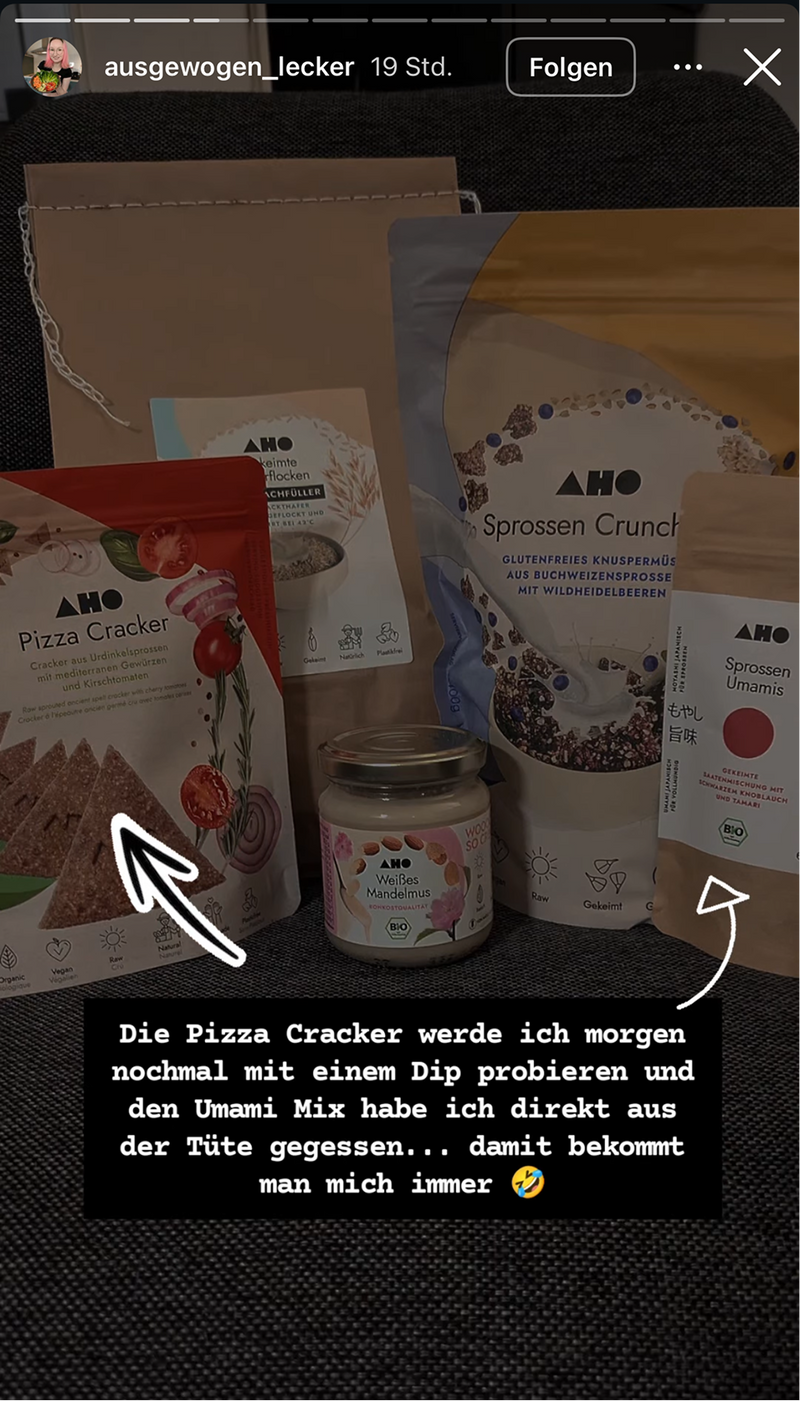 UGC AHO Umamies Pfeil Pizzacracker