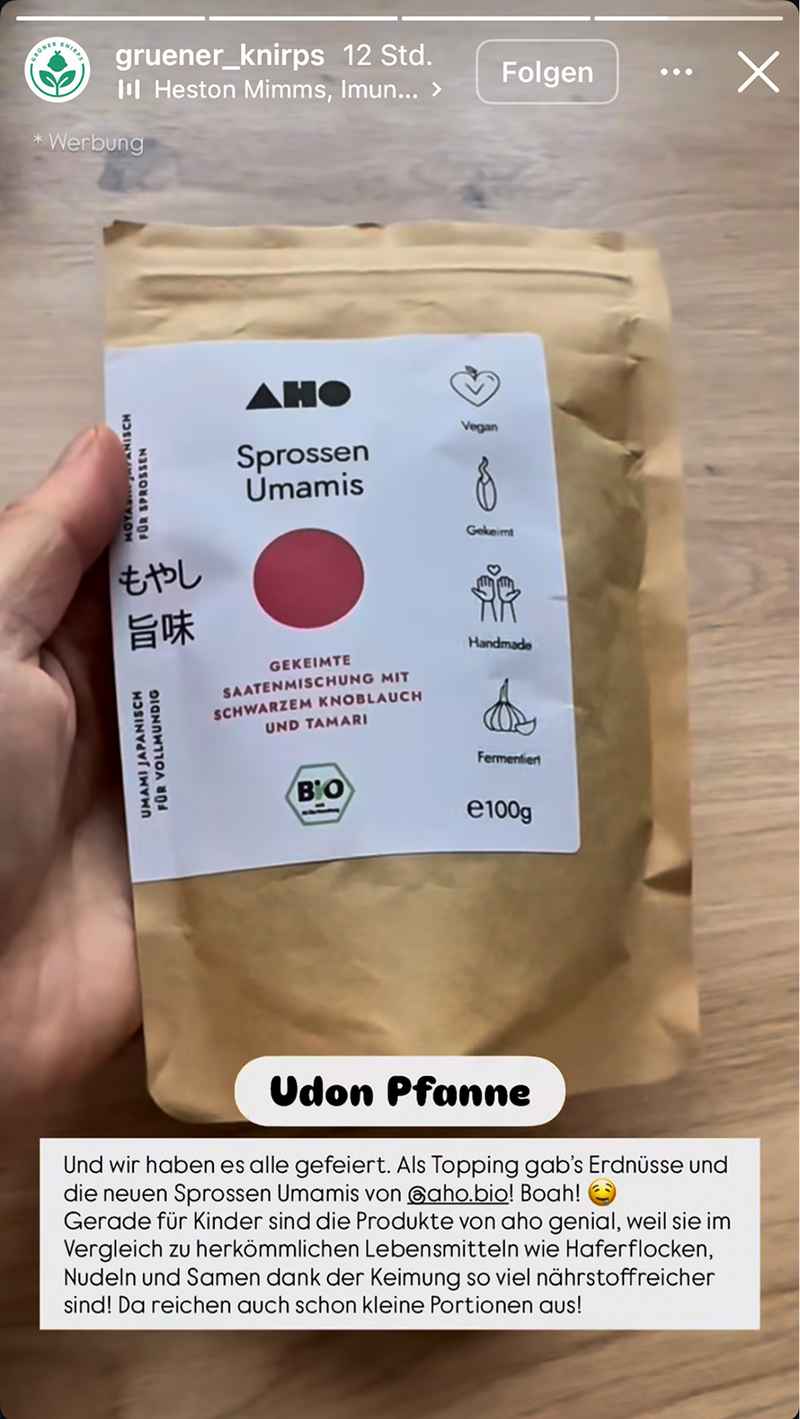 UGC AHO Umamies Udon Pfanne Tuete