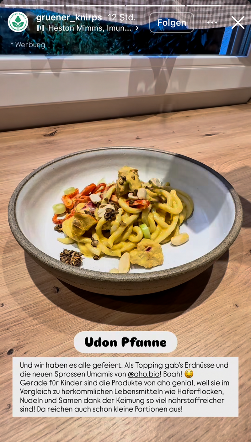 UGC AHO Umamies Udon Pfanne Gekocht