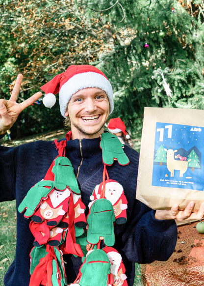 AHO Adventskalender 2026 Produkt-Bundles AHO.BIO GmbH 