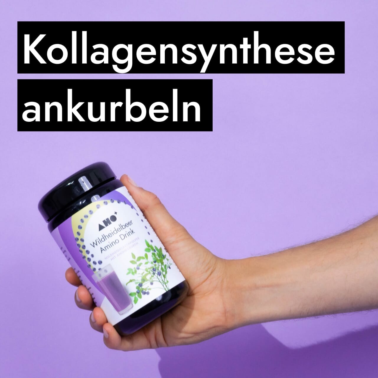 AHO Wildheidelbeer Amino Drink Nahrungsergänzung AHO.BIO GmbH 