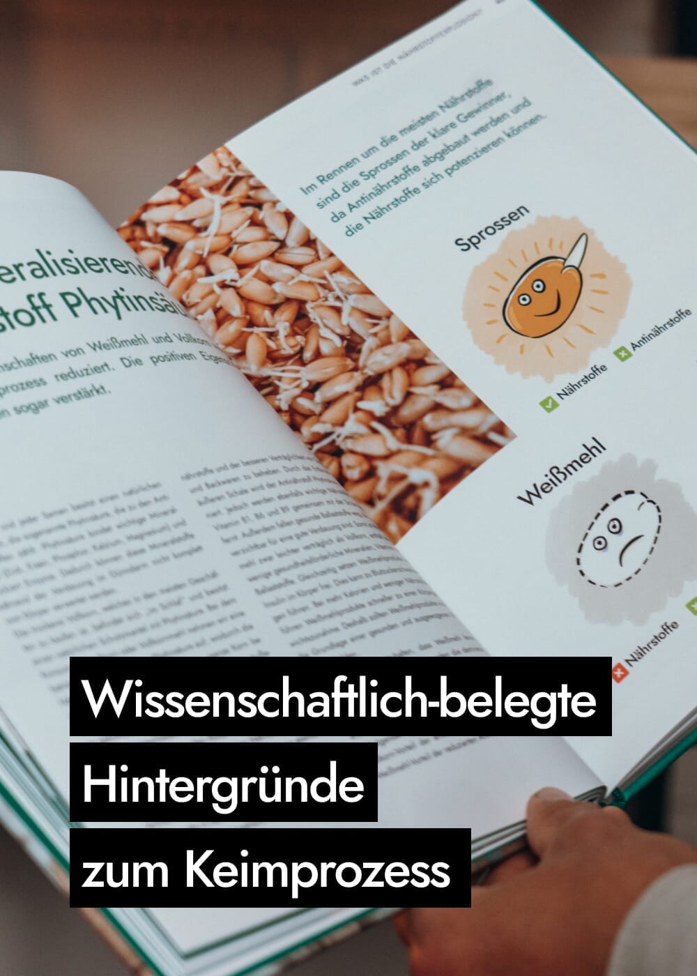 Wirklich gesund essen - Das Geheimnis der Nährstoffexplosion Bücher AHO.BIO GmbH 