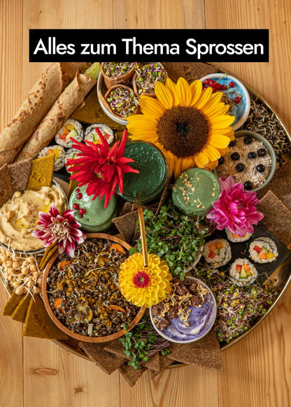 Wirklich gesund essen - Das Geheimnis der Nährstoffexplosion Bücher AHO.BIO GmbH 