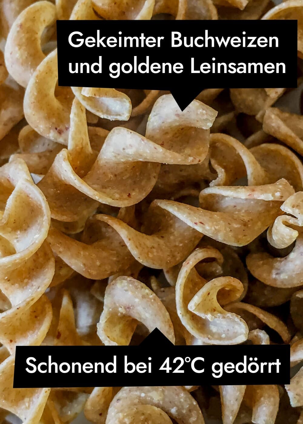 AHO Buchweizensprossen Pasta Raw Vegan Pasta AHO.BIO GmbH 