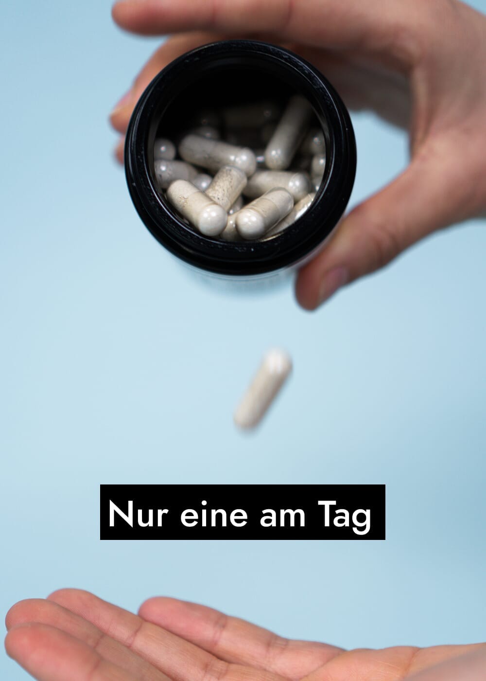 AHO All-In-One Complete Nahrungsergänzung AHO.BIO GmbH 