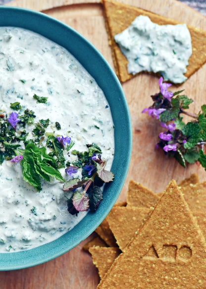 AHO Curry Cracker 2.0 Raw Vegan Cracker AHO.BIO GmbH 