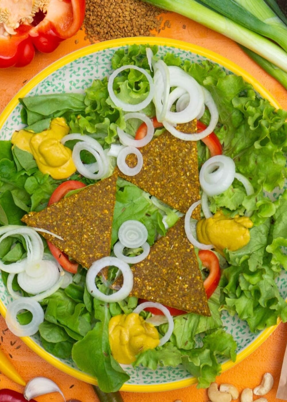 AHO Curry Cracker 2.0 Raw Vegan Cracker AHO.BIO GmbH 