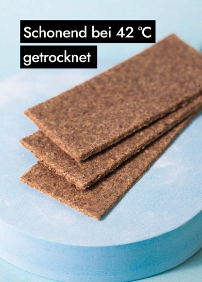 AHO Essēner Rohkostbrot Raw Vegan Cracker AHO.BIO GmbH 