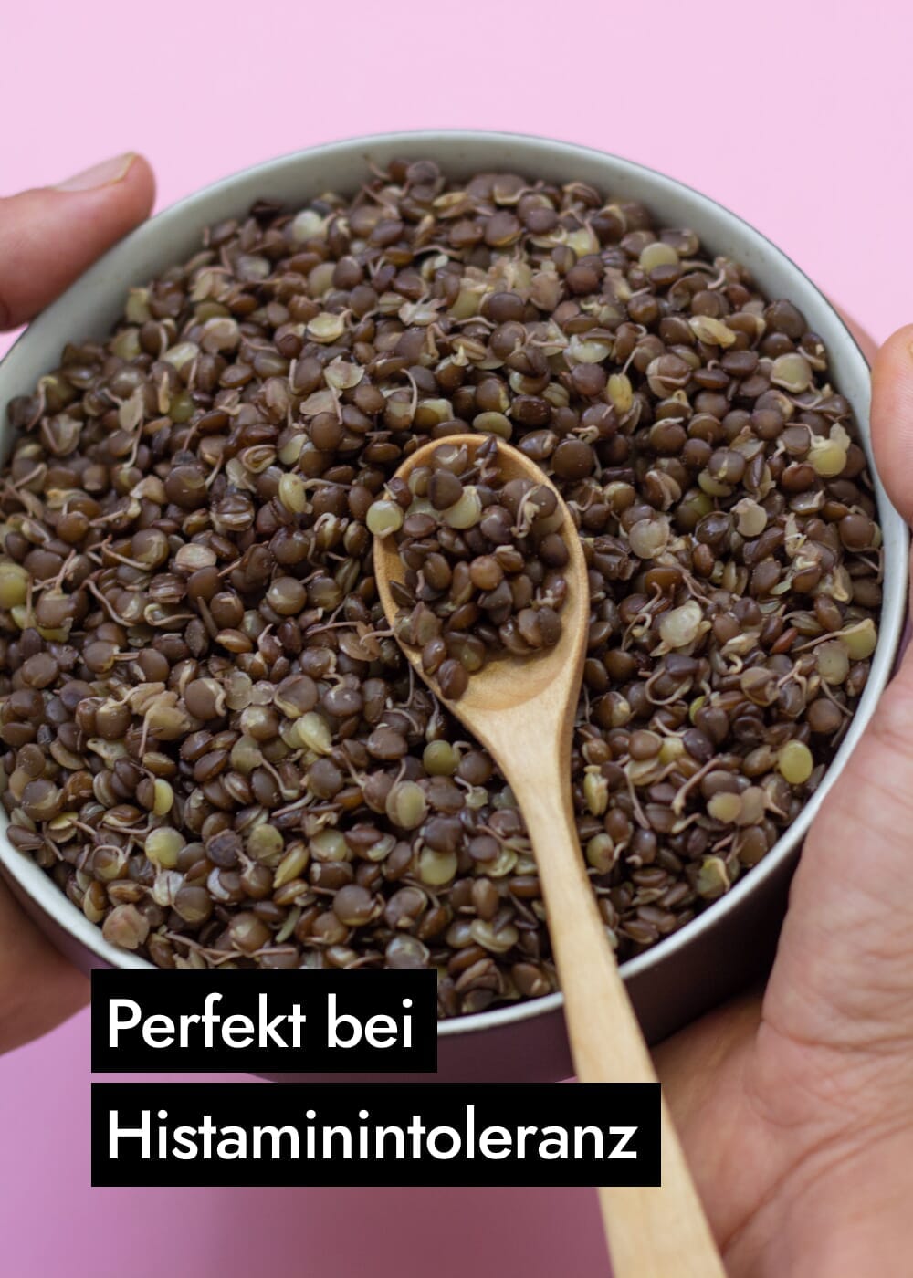 AHO Gekeimte Belugalinsen Ölsaaten AHO.BIO GmbH 