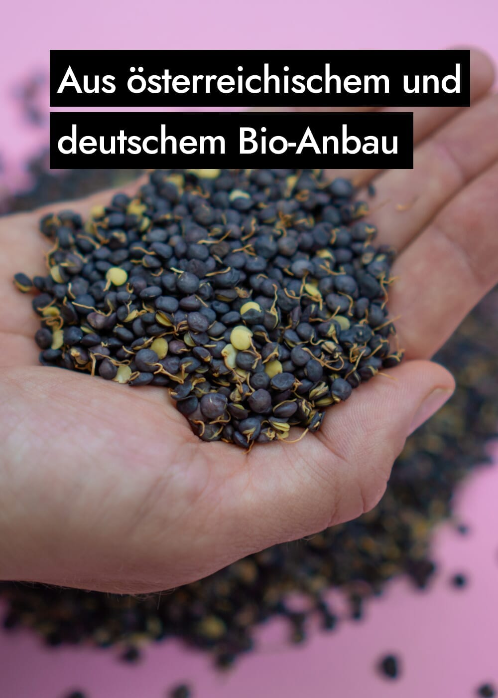 AHO Gekeimte Belugalinsen Ölsaaten AHO.BIO GmbH 
