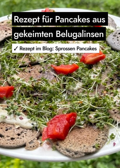 AHO Gekeimte Belugalinsen Ölsaaten AHO.BIO GmbH 