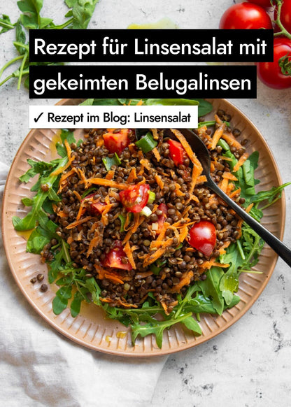 AHO Gekeimte Belugalinsen Ölsaaten AHO.BIO GmbH 