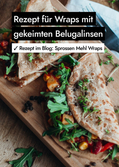 AHO Gekeimte Belugalinsen Ölsaaten AHO.BIO GmbH 