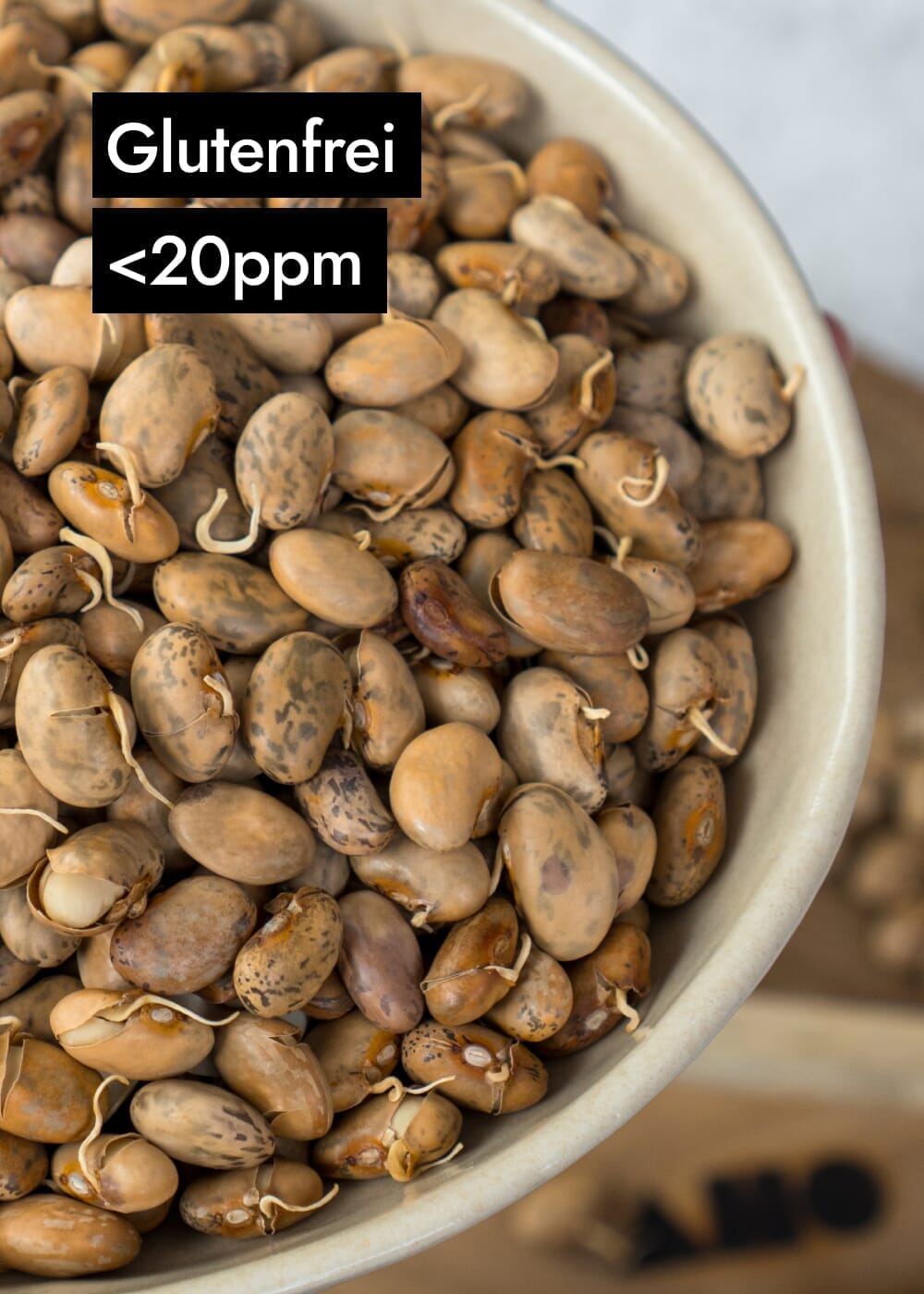 AHO Gekeimte Bohnen Ölsaaten AHO.BIO GmbH 