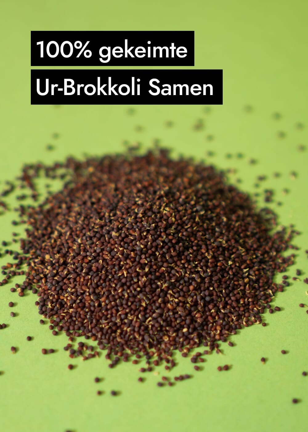 AHO Gekeimte Ur-Brokkoli Samen Ölsaaten AHO.BIO GmbH 