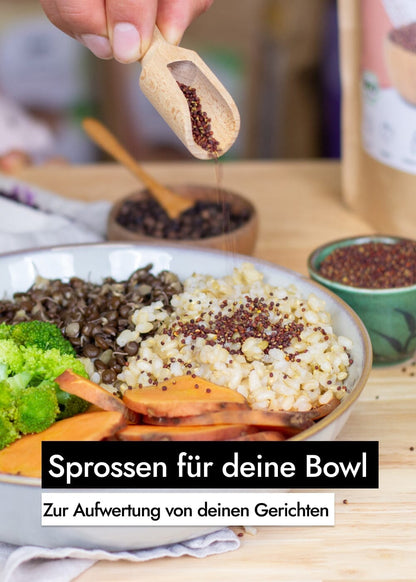 AHO Gekeimte Ur-Brokkoli Samen Ölsaaten AHO.BIO GmbH 