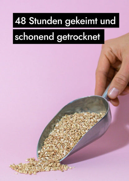 AHO Gekeimter Buchweizen Pseudogetreide AHO.BIO GmbH 