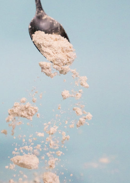 AHO Gekeimtes Hafermehl Getreide AHO.BIO GmbH 