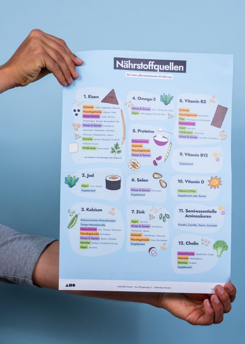 AHO Nährstoffquellen Poster Printmedien AHO.BIO GmbH 