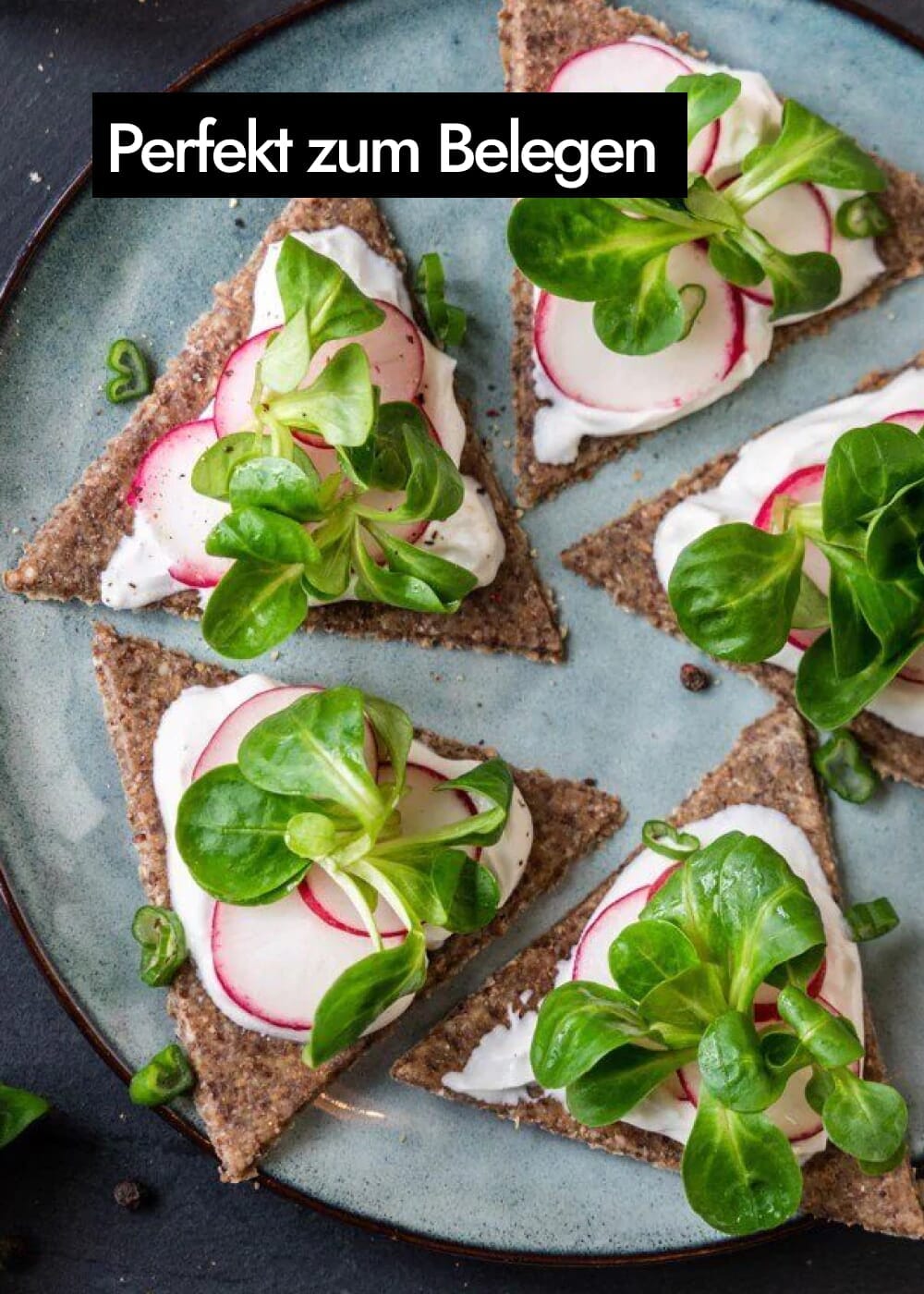 AHO Natur Cracker 2.0 Raw Vegan Cracker AHO.BIO GmbH 