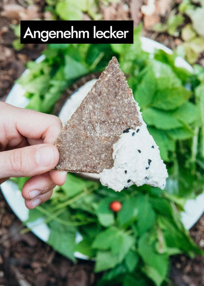 AHO Natur Cracker 2.0 Raw Vegan Cracker AHO.BIO GmbH 