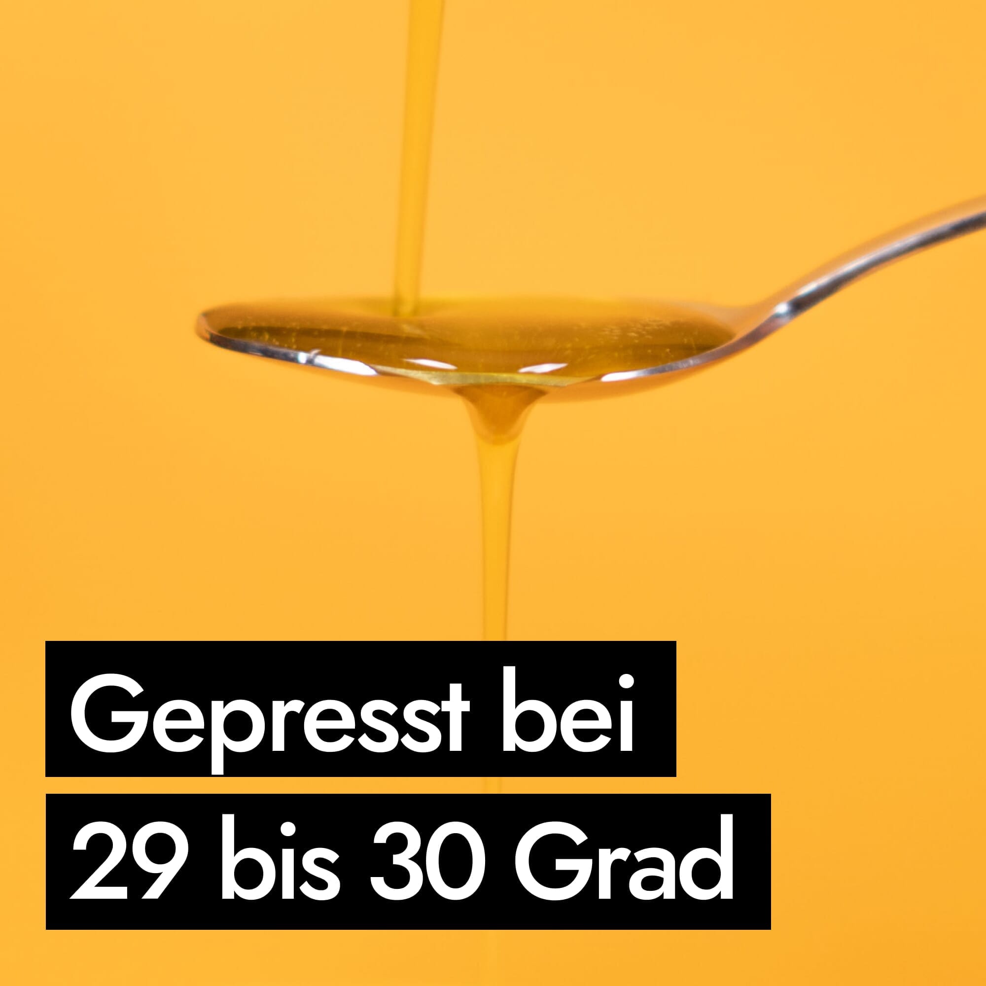 AHO Omega 3 Öl Nahrungsergänzung AHO.BIO GmbH 