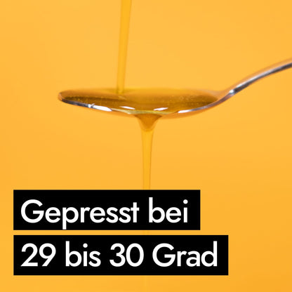 AHO Omega 3 Öl Nahrungsergänzung AHO.BIO GmbH 