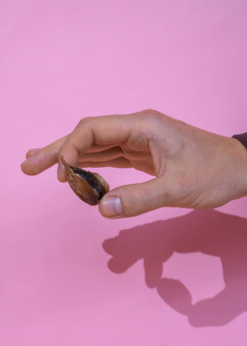 AHO Schwarzer Knoblauch AHO.BIO GmbH 