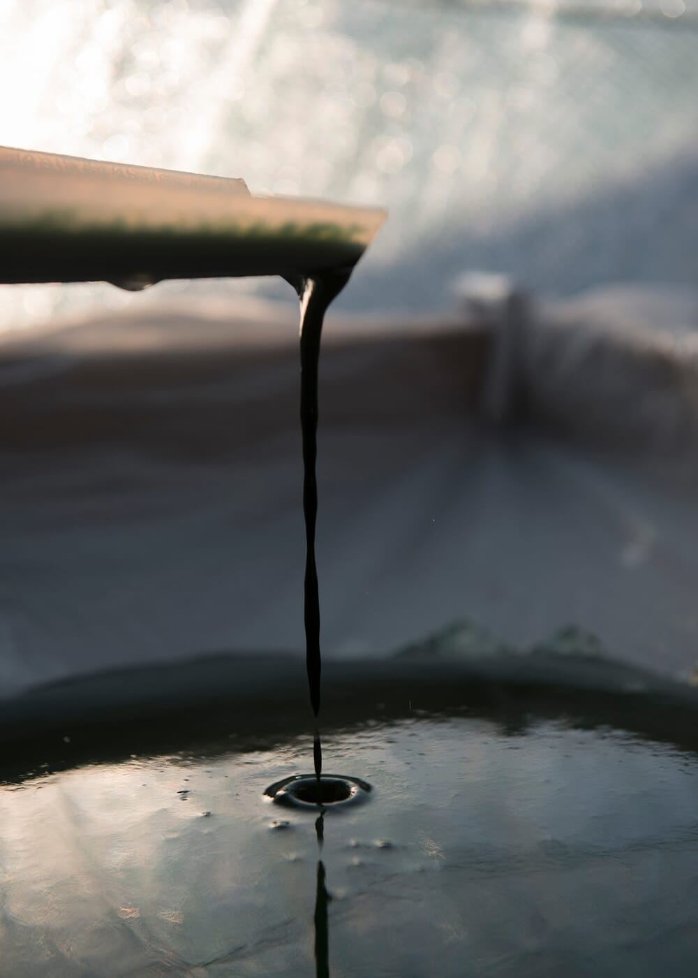 AHO Spirulina Streusel Raw Vegan Granola AHO.BIO GmbH 