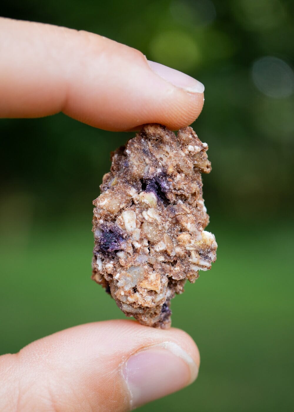 AHO Sprossen Crunchies Raw Vegan Granola AHO.BIO GmbH 
