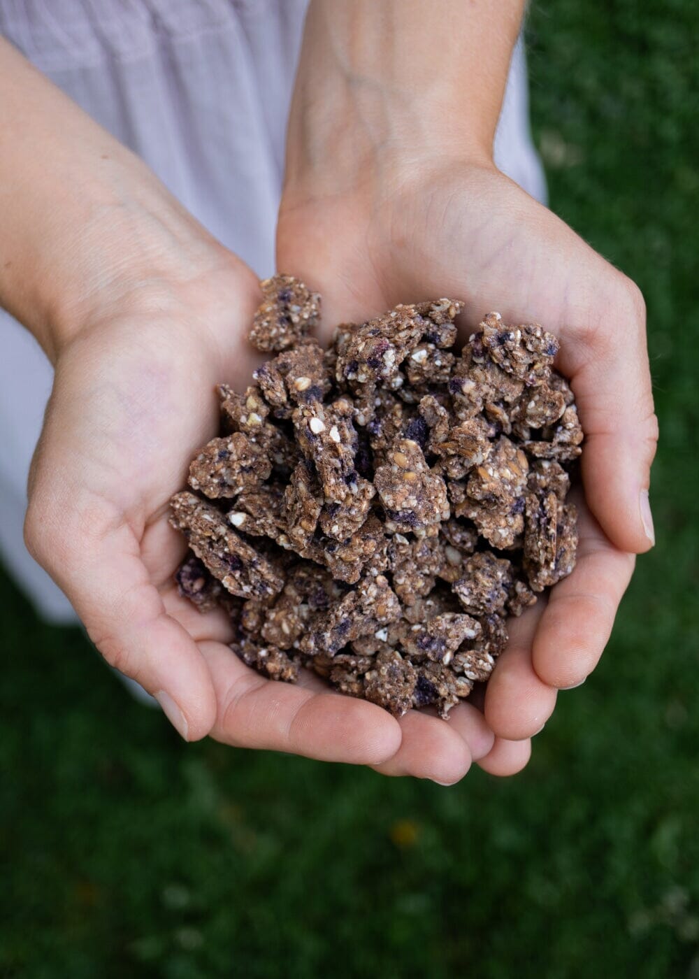 AHO Sprossen Crunchies Raw Vegan Granola AHO.BIO GmbH 