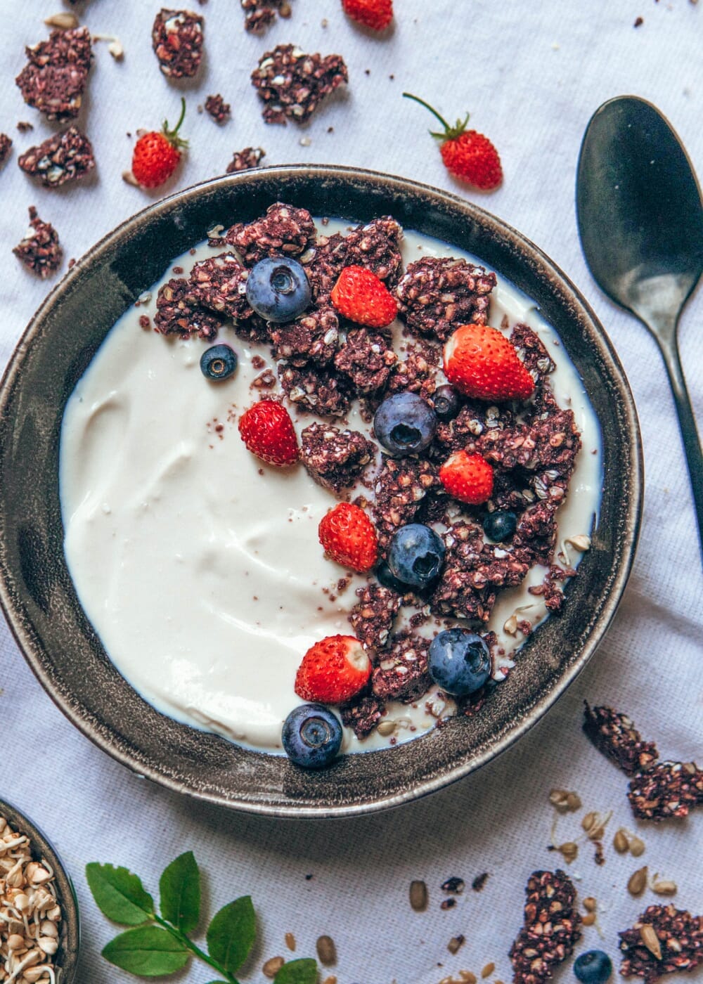 AHO Sprossen Crunchies Raw Vegan Granola AHO.BIO GmbH 