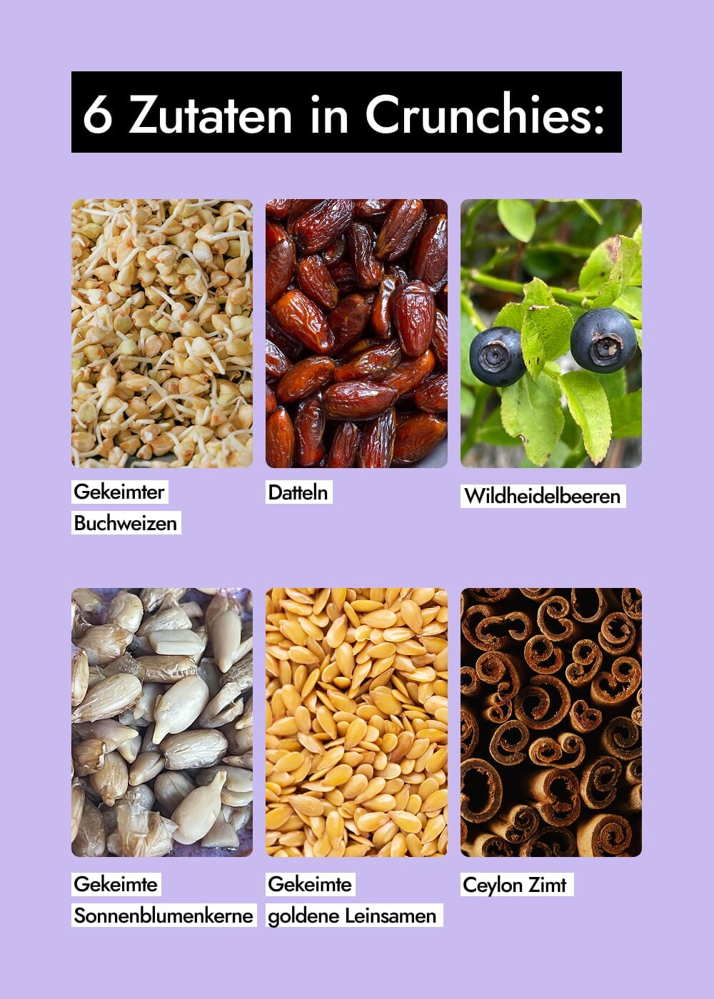 AHO Sprossen Crunchies Raw Vegan Granola AHO.BIO GmbH 