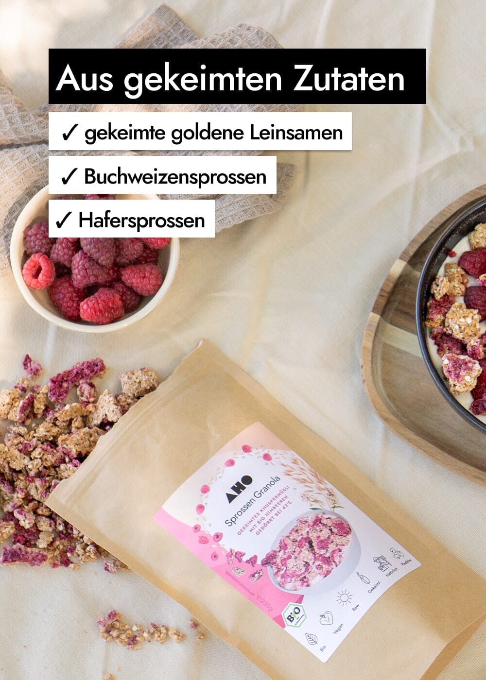 AHO Sprossen Granola Raw Vegan Granola AHO.BIO GmbH 