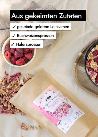 AHO Sprossen Granola Raw Vegan Granola AHO.BIO GmbH 