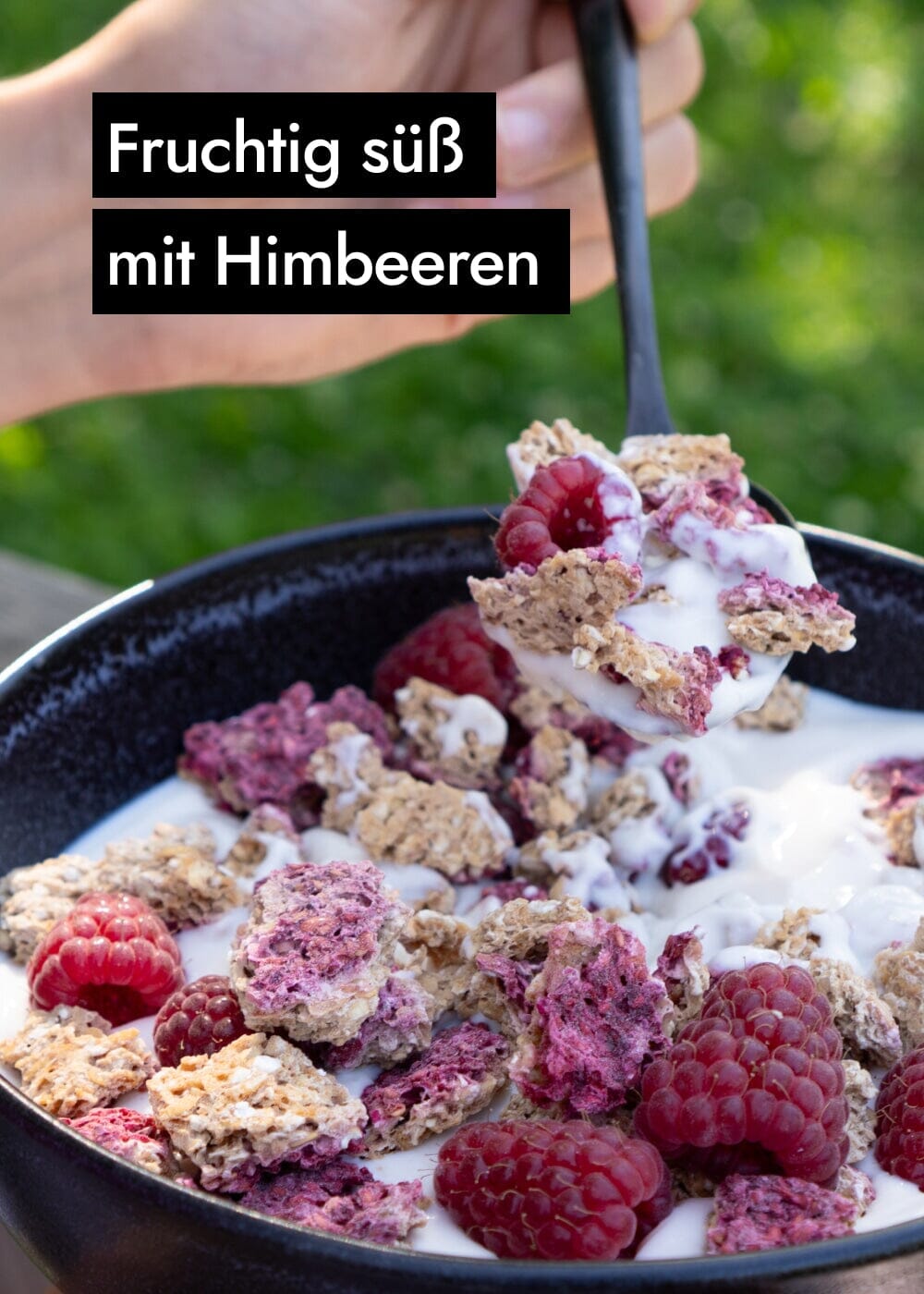 AHO Sprossen Granola Raw Vegan Granola AHO.BIO GmbH 