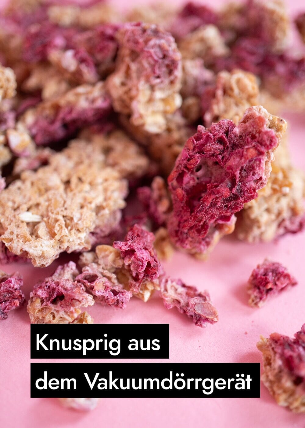 AHO Sprossen Granola Raw Vegan Granola AHO.BIO GmbH 