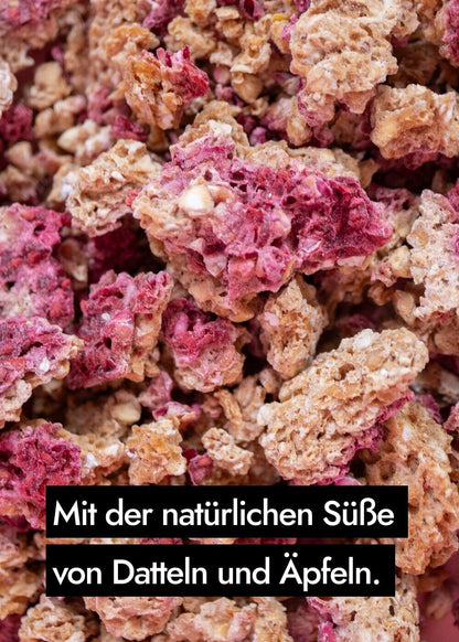 AHO Sprossen Granola Raw Vegan Granola AHO.BIO GmbH 