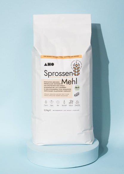 AHO Sprossen Mehl Raw Vegan Pasta AHO.BIO GmbH 2,5kg Nachfüller 