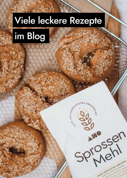 AHO Sprossen Mehl Raw Vegan Pasta AHO.BIO GmbH 