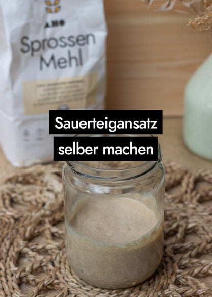 AHO Sprossen Mehl Raw Vegan Pasta AHO.BIO GmbH 