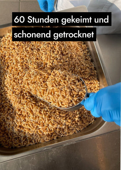 AHO Sprossen Mehl Raw Vegan Pasta AHO.BIO GmbH 