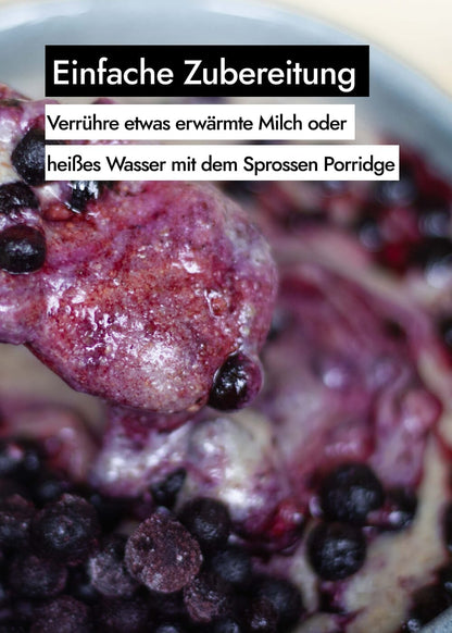 AHO Sprossen Porridge Raw Vegan Granola AHO.BIO GmbH 