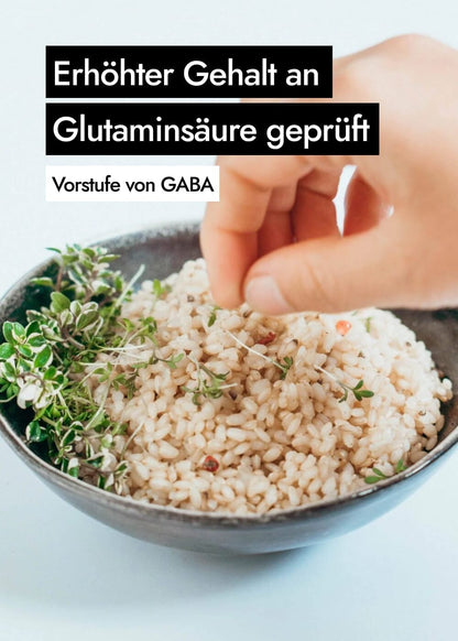 AHO Sprossen Reis Getreide AHO.BIO GmbH 