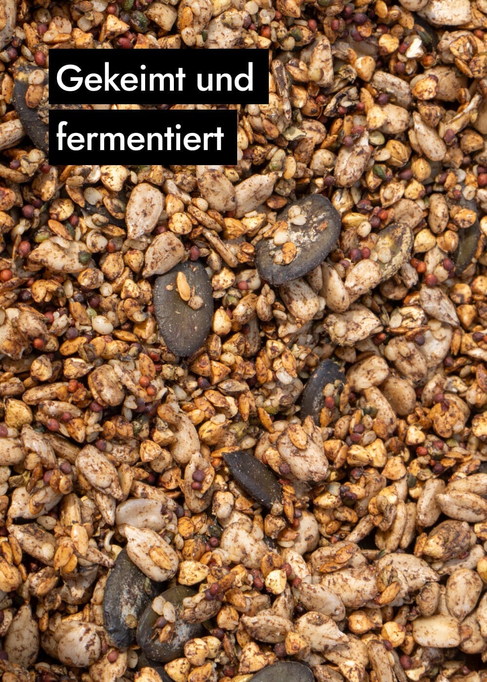 AHO Sprossen Umamis Ölsaaten AHO.BIO GmbH 
