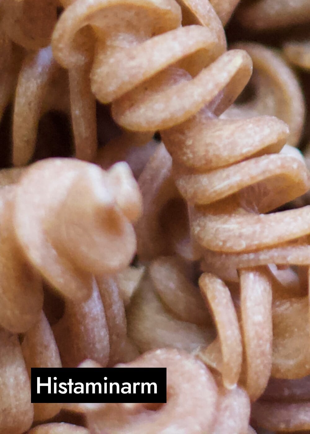 AHO Urdinkelsprossen Pasta Raw Vegan Pasta AHO.BIO GmbH 