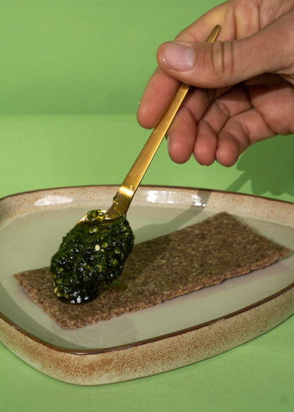 AHO Wildes Bärlauch Pesto Nüsse AHO.BIO GmbH 