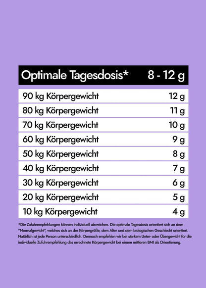 AHO Wildheidelbeer Amino Drink Nahrungsergänzung AHO.BIO GmbH 