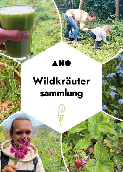 AHO Wildkräutersammlung Event Event 