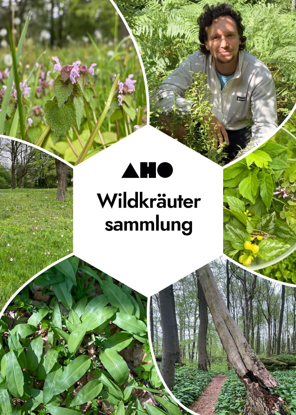 AHO Wildkräutersammlung Event Event 